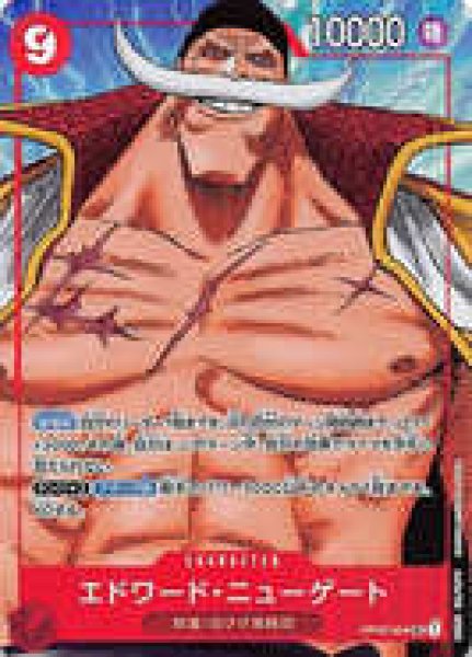 画像1: 〔特価品〕エドワード・ニューゲート【パラレル】《赤》 (1)