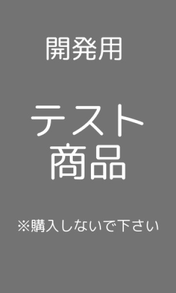 画像1: 開発用テスト (1)