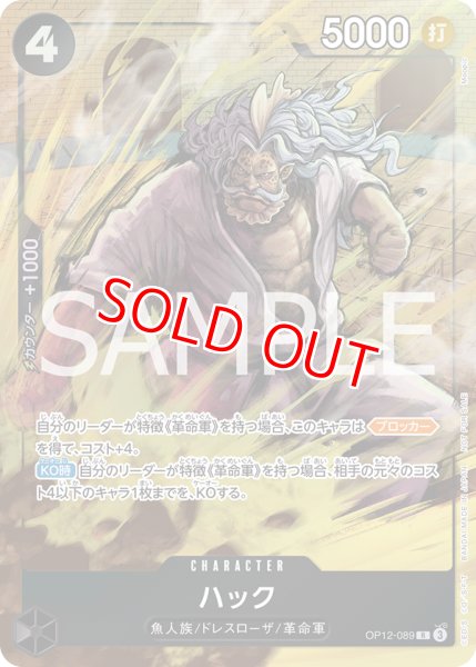 画像1: 〔特価品〕ハック【プロモ】《黒》 (1)