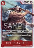 海賊王に!!!おれはなるっ!!!!【プロモ】《緑》 交流会配布版P