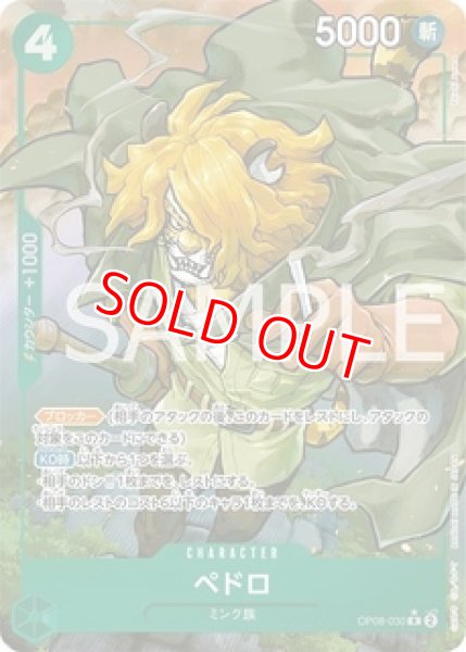 画像1: 〔特価品〕ペドロ【パラレル】《緑》 (1)