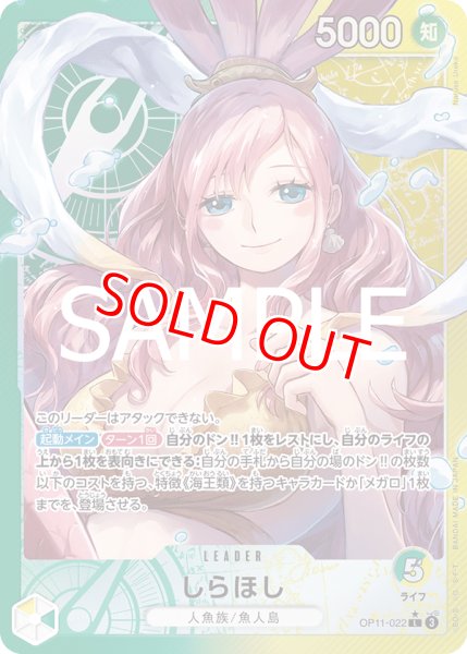 画像1: 〔特価品〕しらほし【リーダーパラレル】《多色》 (1)