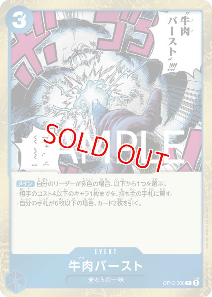 画像1: 〔特価品・状態難〕牛肉バースト【R】《青》 (1)