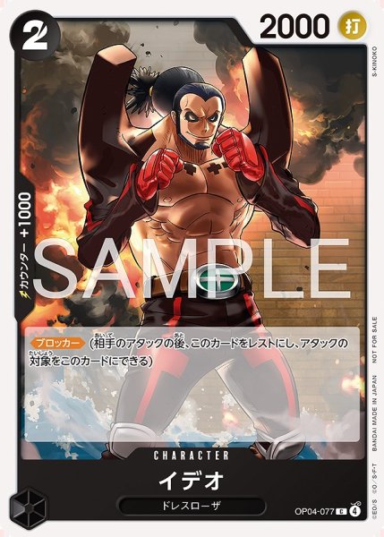 画像1: イデオ【プロモ】《黒》 (1)