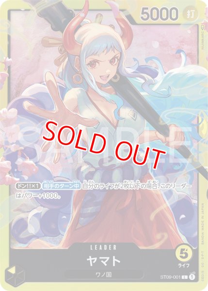 画像1: 〔特価品・状態難〕ヤマト【L】《黄》 (1)