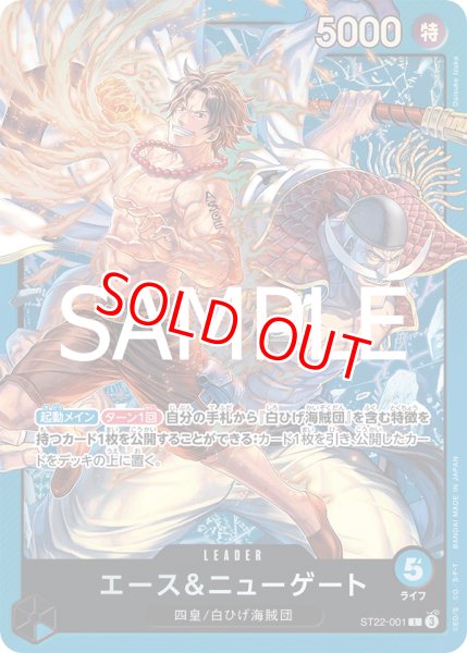 画像1: 〔特価品・状態難〕エース＆ニューゲート【L】《青》 (1)