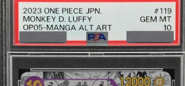 ボア ハンコック psa10 tr トレジャーレア PSA鑑定済み・PSA10の